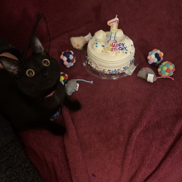 Meet your Posher, Kimberly - Picture 6 of 16